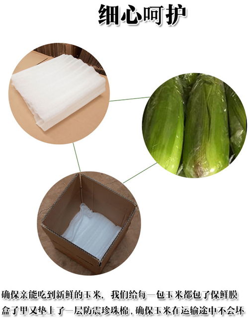 专业平面设计指南 打造“彩云好果果”淘宝店铺装修与产品详情页